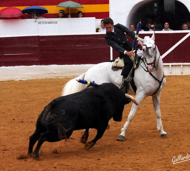 Dando el pecho y la cara para dejar al toro en suerte.