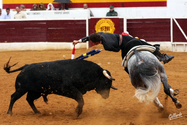 El violín con las cortas de Leonardo Hernández.