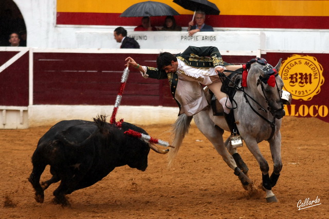 Banderilla a la grupa del menor de los Moura. (FOTO:Gallardo)