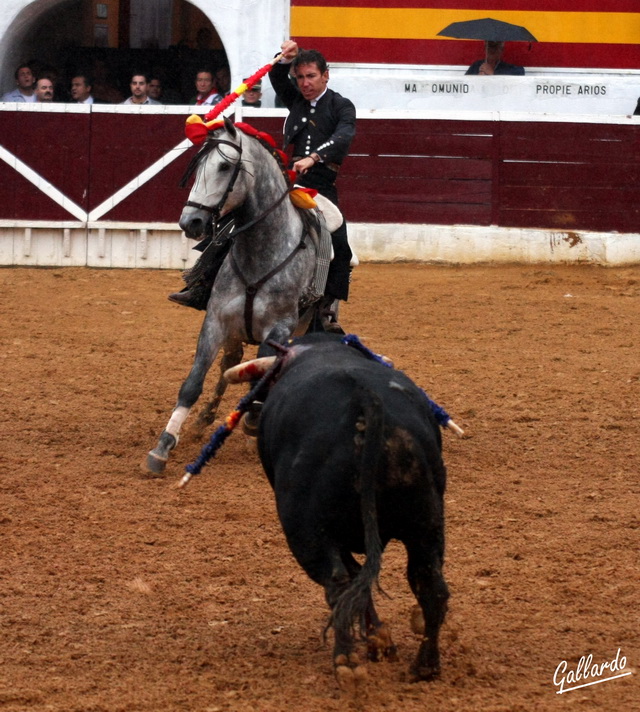 Leonardo Hernández yéndose de frente a la cara del toro. (FOTO:Gallardo)