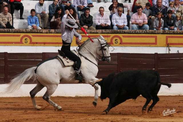 Clavando el rejón de castigo a lomos de 'Cairel'. (FOTO:Gallardo)