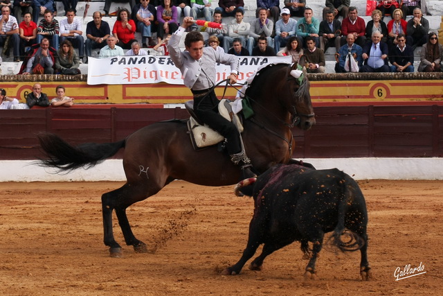 Con templario cubrió los primeros lances del tercio de banderillas.