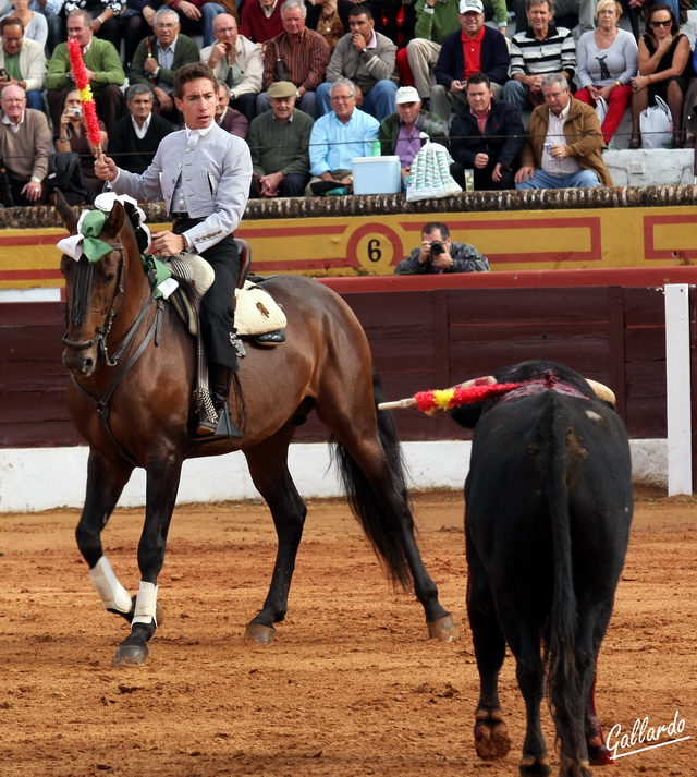 Dejándose ver para colocar al toro en suerte.