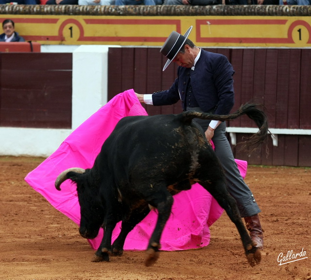 Espartaco abriéndose a la verónica.