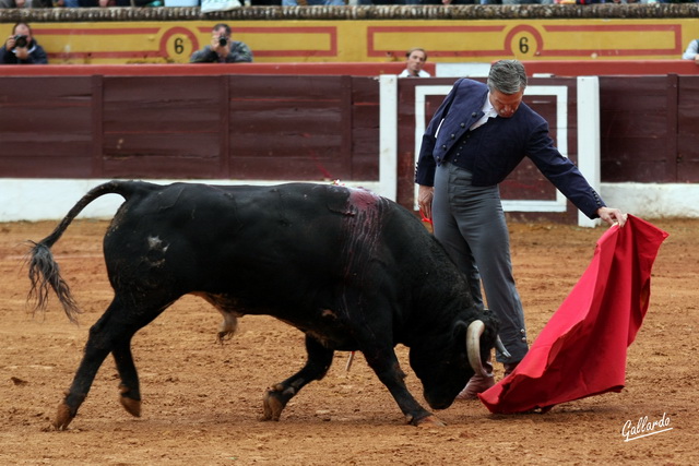 Espartaco llevando muy templado al de 'Gavira'. (FOTO:Gallardo)