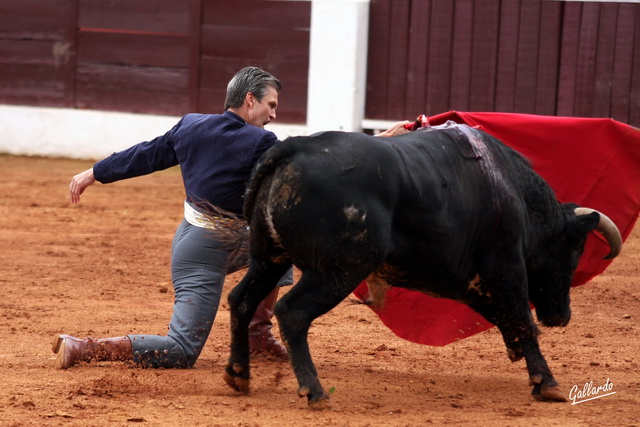 ...que el toro no se cayera y retornase el recuerdo imperecedero del gran Espartaco.