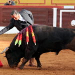 Soberbio derechazo de Victor Mendes al toro de Zalduendo. (FOTO:Gallardo)