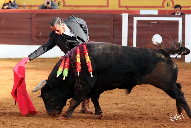 Soberbio derechazo de Victor Mendes al toro de Zalduendo. (FOTO:Gallardo)