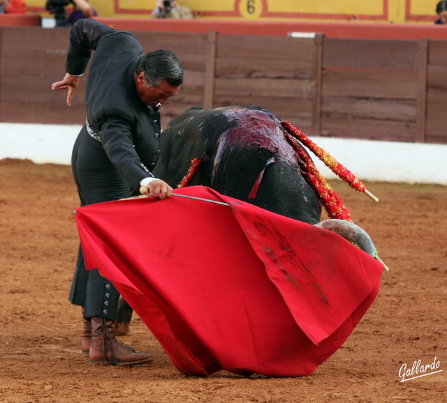 Alargando al máximo la embestida.