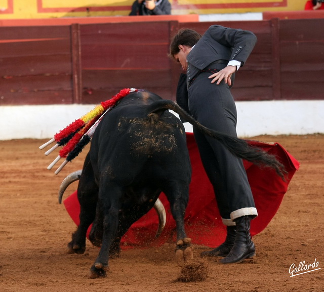 Cimbreando la cintura para alargar el muletazo.