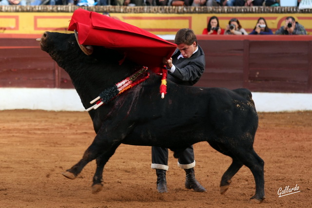 Firmeza en el de pecho.