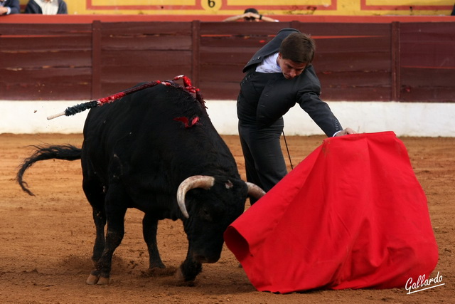 El natural más largo del toreo actual.