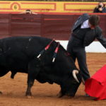 La muleta de El Juli imanta a los toros y a los aficionados por igual. (FOTO:Gallardo)