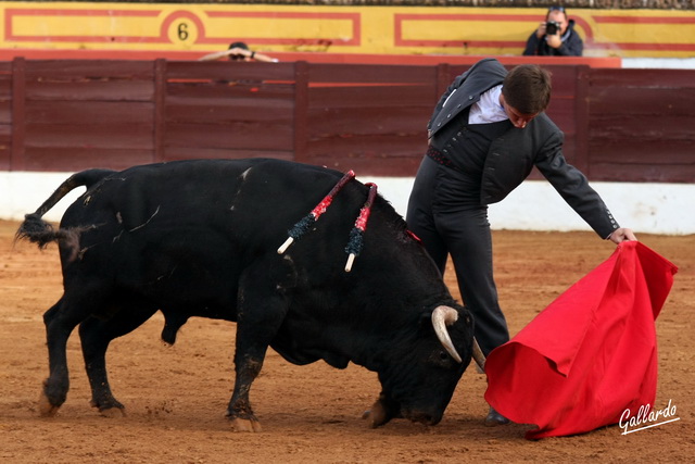 La muleta de El Juli imanta a los toros y a los aficionados por igual. (FOTO:Gallardo)