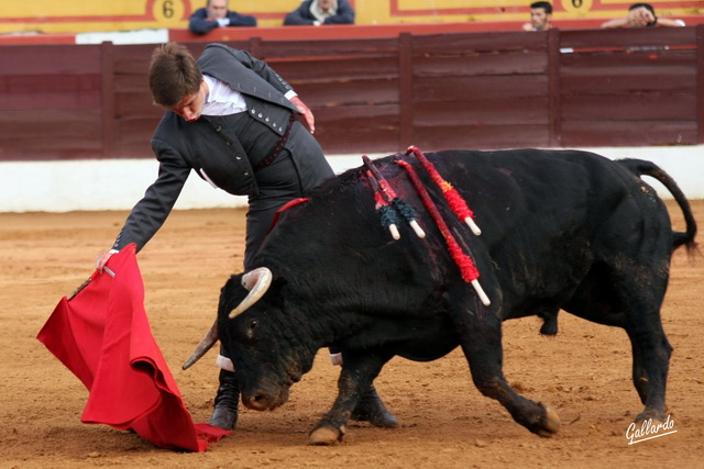 Idéntica tauromaquia de mano baja ahora con la derecha.