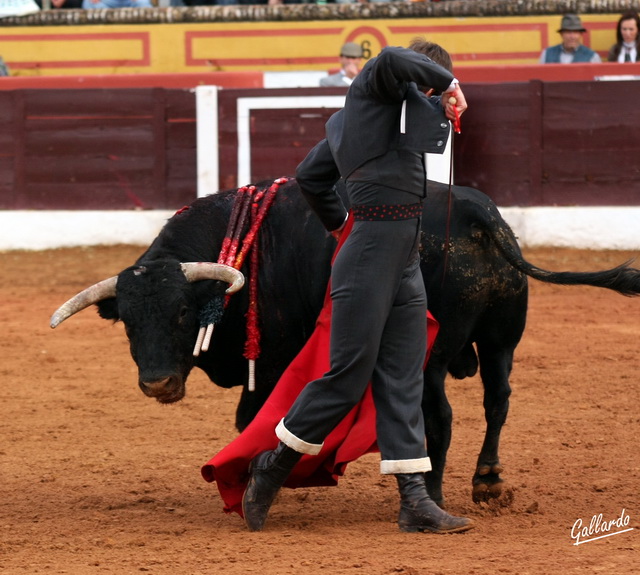 Y el remate garboso para salirse de la suerte.