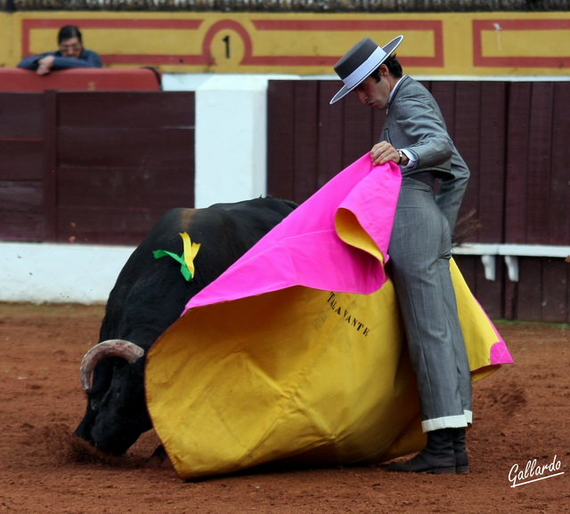 Talavante saludando en el lance a pies juntos.