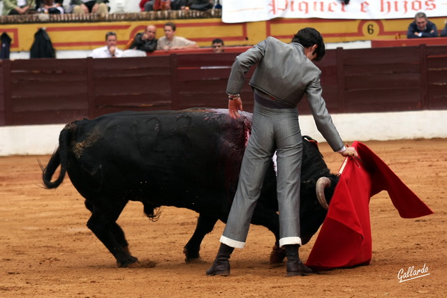 Talavante templando en el derechazo.