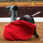 Derechazo sentido y templado de Alejandro Talavante. (FOTO:Gallardo)