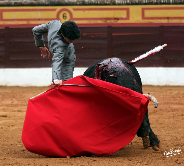 Derechazo sentido y templado de Alejandro Talavante. (FOTO:Gallardo)