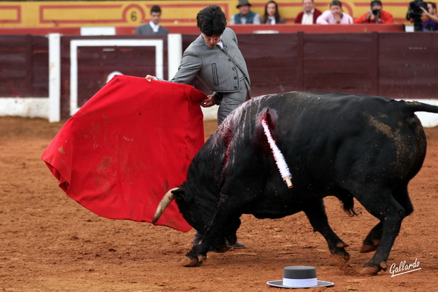 Manoletinas para epilogar la faena.