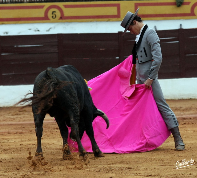 Posada de Maravillas haciendo honor al legado de su apellido.