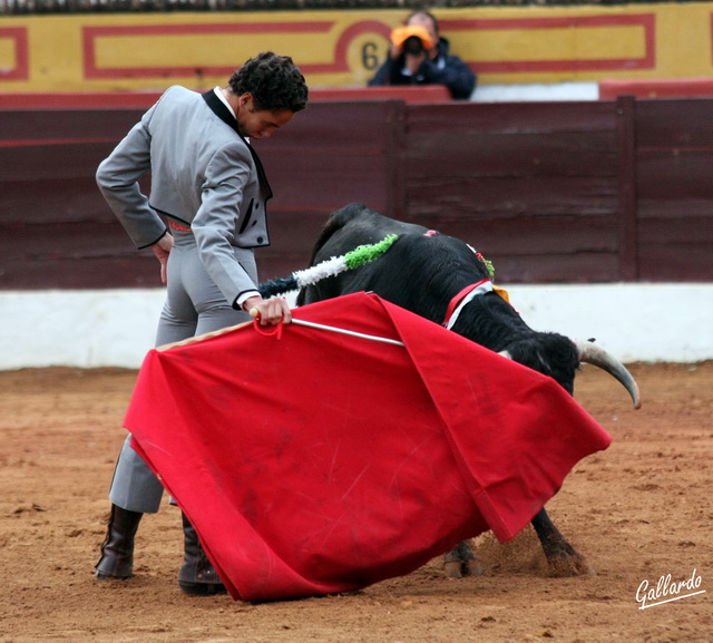 Gustándose en la suavidad del derechazo. 