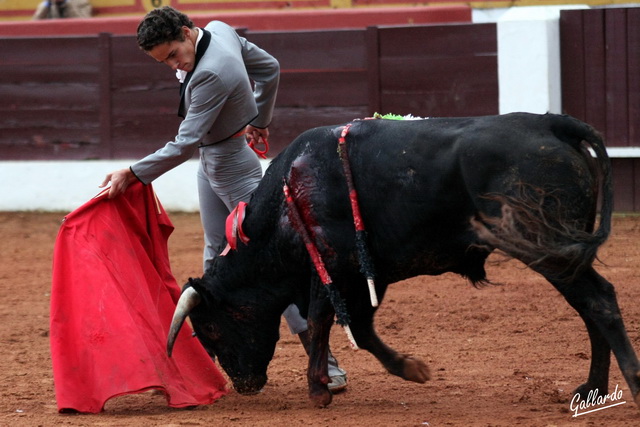 Inicio del de pecho, marcando los tiempos.