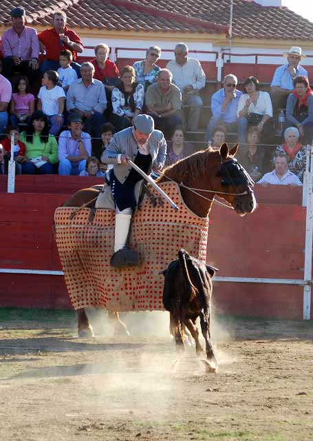 La erala demuestra su bravura acudiendo al encuentro con el caballo.