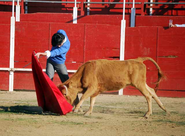 El inicio del pase de pecho de Salamanca.