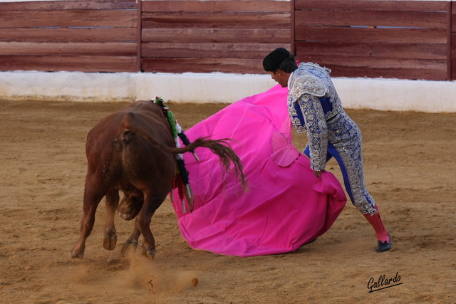 José Luis Sierra en la brega.