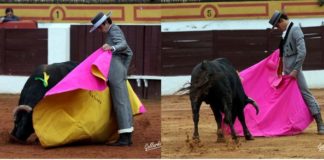 Talavante y Posada de Maravillas lanceando de verónica. (FOTO:Gallardo)