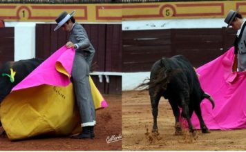 Talavante y Posada de Maravillas lanceando de verónica. (FOTO:Gallardo)