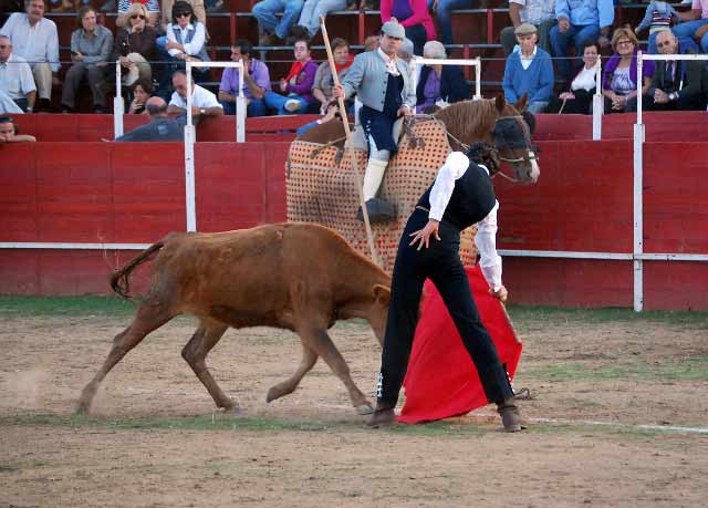 Toreando en redondo.