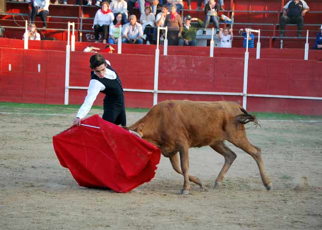 Luis Manuel Terrón toreando a la última erala de la tienta.