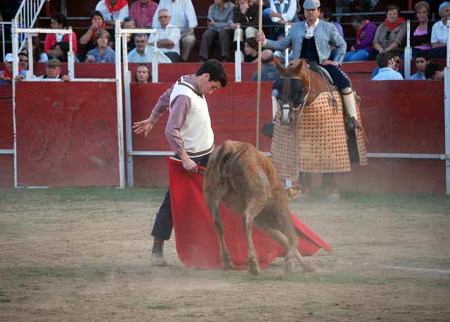 Gustándose en la trincherilla de remate.