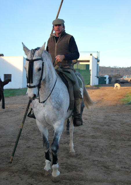 El ganadero Miguel Moreno dirigiéndose al cerrado.