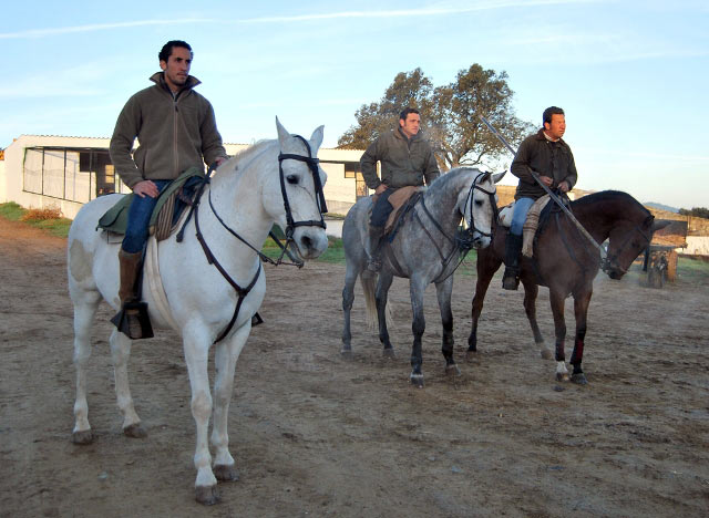 Ambel Posada y los vaqueros le siguen.