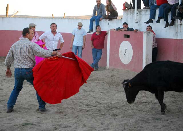 Uno de los peñistas demostrando su valía torera. (FOTO:Fco. Javier Campos)