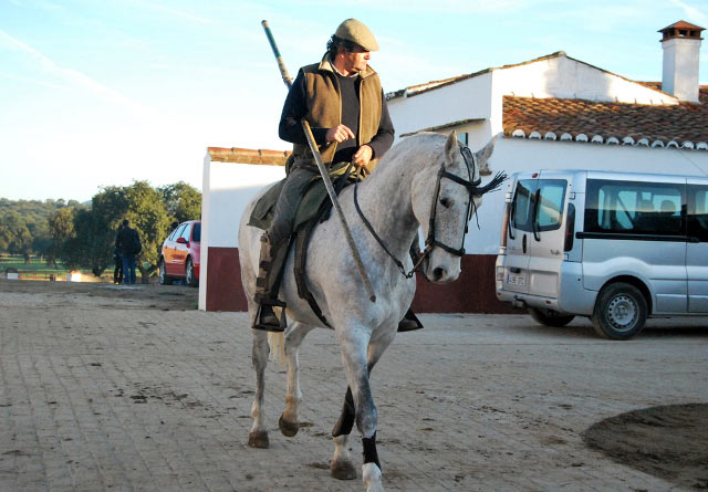 Miguel Moreno a lomos de su caballo camino del cerrado. (FOTO: Fco. Javier Campos)