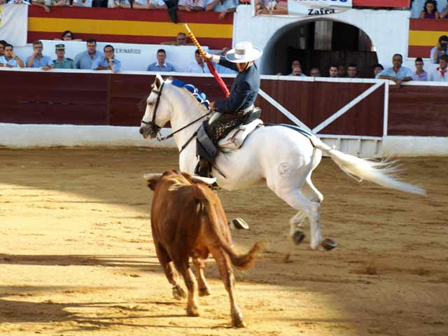 Aquí ya ante el toro, parándolo para clavar el primer rejón de castigo.