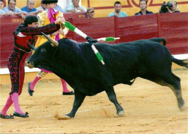 Como en este ajustado embroque en la plaza de Badajoz. (FOTO: Alfonso Plano)