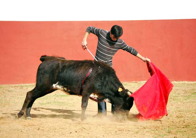 Turno para los sin caballos, aquí Carlos María obligando a la res con la zurda