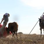 Miguel Ángel toreando, el caballista único testigo. (FOTO:Miguel López)