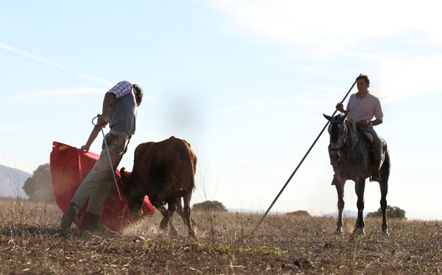 Miguel Ángel toreando, el caballista único testigo. (FOTO:Miguel López)