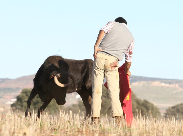 La quietud de Perera junto a la quietud del campo. (FOTO:Miguel López)