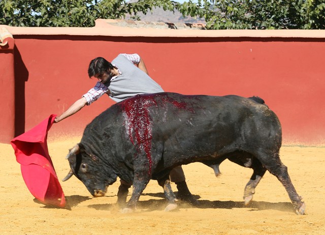 Y luego el toro, con todo su volumen. (FOTO:Miguel López)