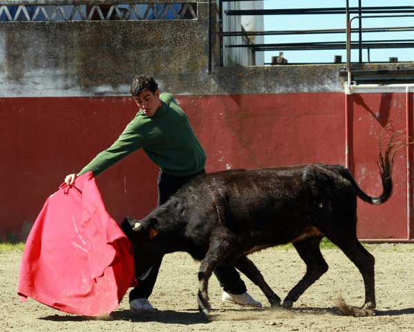 Cuando tiene oportunidad coge la muleta en el campo. (FOTO: Gallardo)