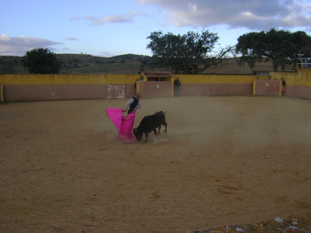 Los alumnos de la Escuela tentando con la caída de la tarde.