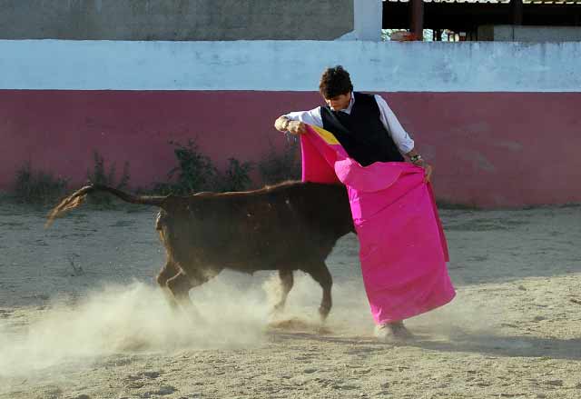 Jairo Miguel ajustándose en la chicuelina.